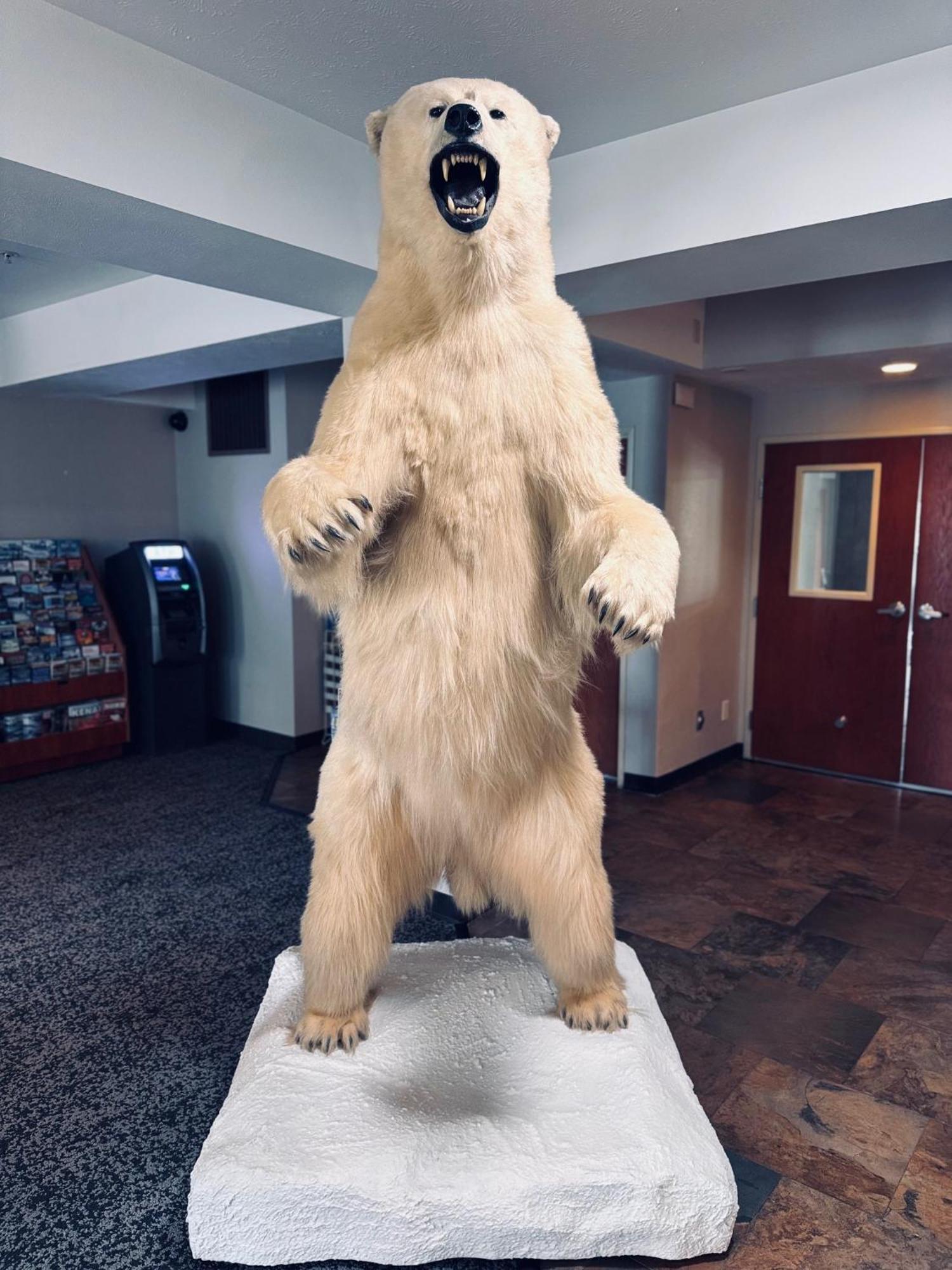 Wyndham Garden Anchorage Airport Hotel Екстериор снимка